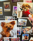 Custom Photo Magnets