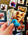 Custom Rectangle Photo Magnets
