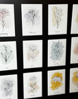 12 Month Birth Flower Magnets