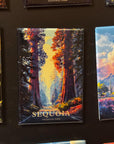 a collection of nature-themed magnets, including a magnet depicting a scenic view of sequoia trees in a forest.