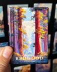 A hand holding a magnet with a colorful image of a forest, specifically Redwood National Park, with the text "REDWOOD NATIONAL PARK" visible.