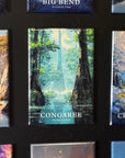 a collage of various landscape photographs, including a large image of a forest and a smaller image of a mountain range. The collage is set against a black background, and the text "CONGAREE NATIONAL PARK" is visible, indicating that the images are likely from the Congaree National Park.