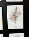 12 Month Birth Flower Magnets