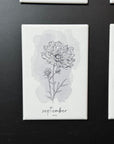 12 Month Birth Flower Magnets