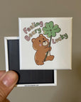 Shamrock Rainbow Magnet