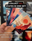 Alaska State Magnet – Denali and Northern Lights