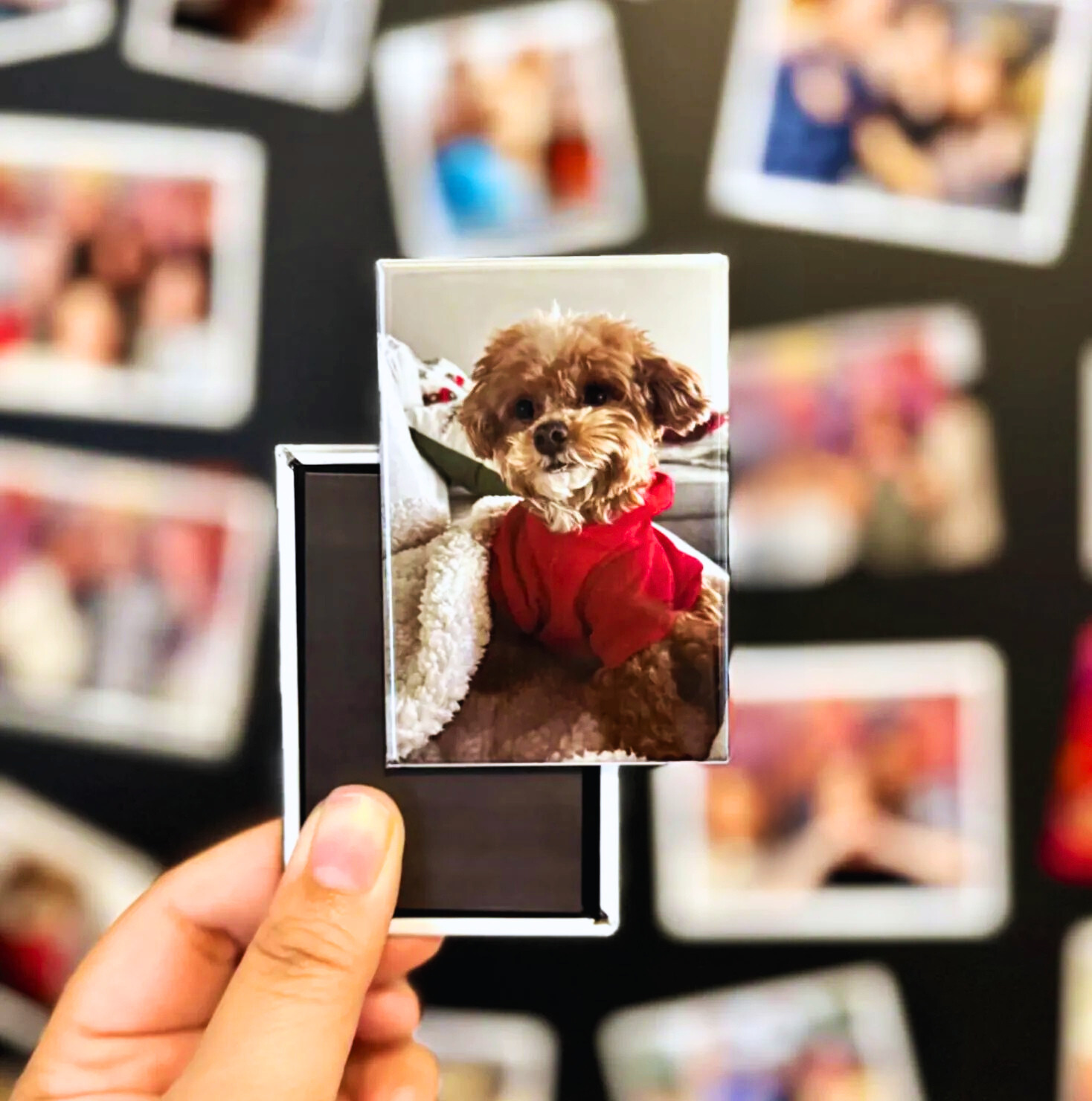 Custom Button Magnets