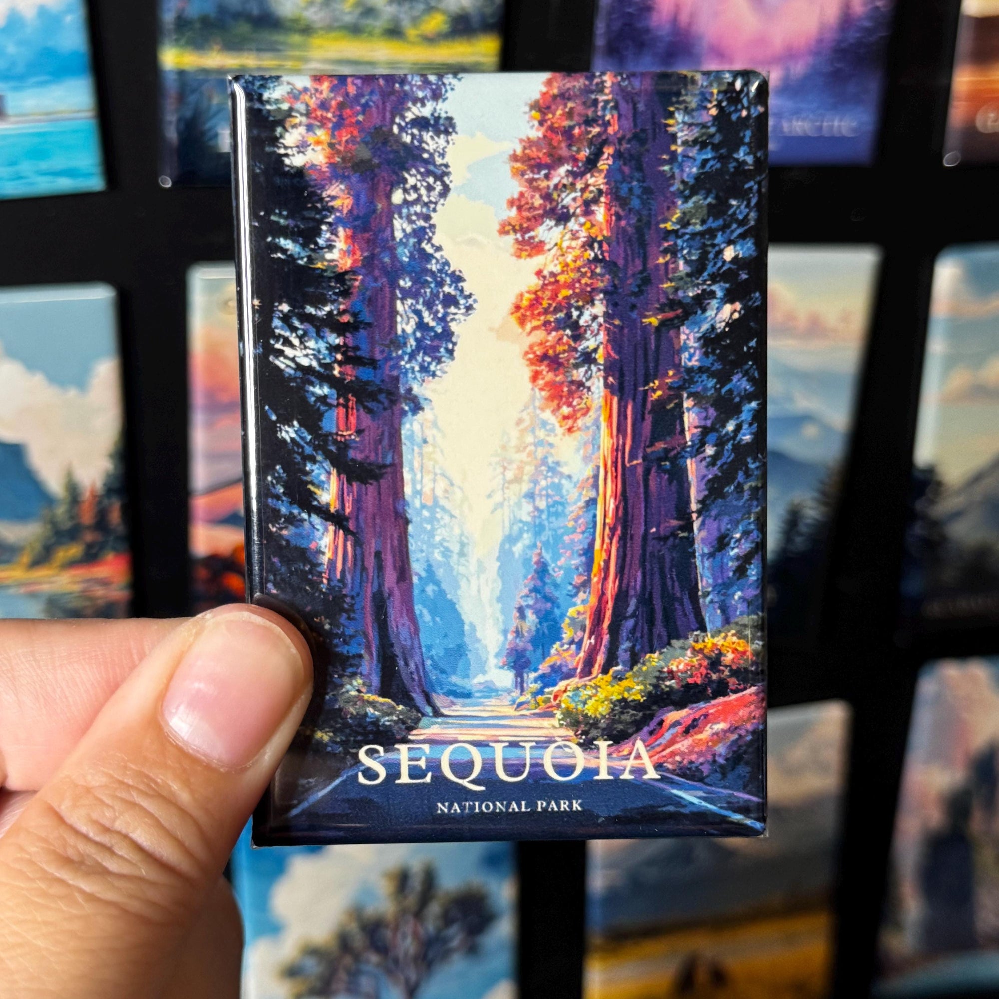 A hand holding a magnet with a colorful image of a forest, specifically depicting a scenic view of Sequoia National Park.
