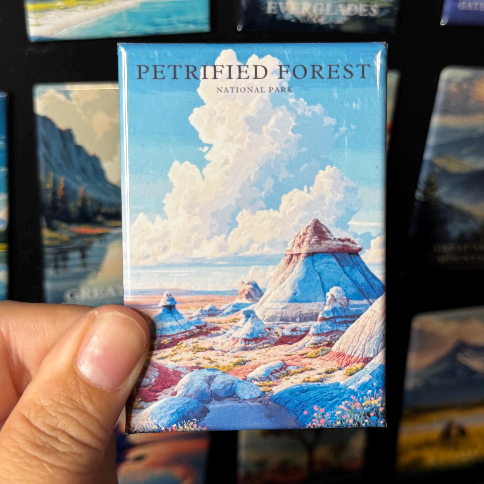A hand holding a magnet with an illustration of a mountainous landscape, with the text "PETRIFIED FOREST NATIONAL PARK" printed on it.