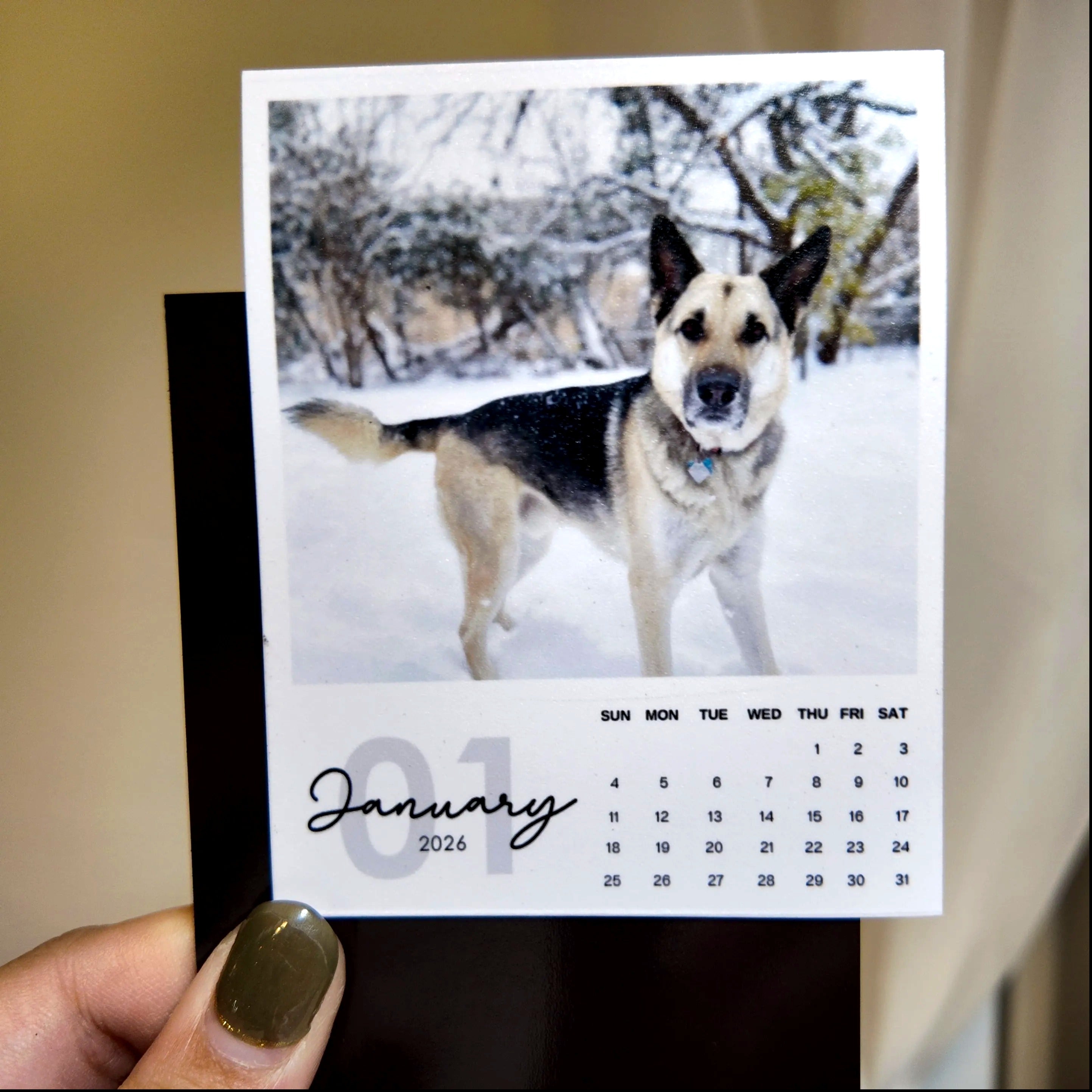 A person is holding a small calendar featuring a photo of a dog in the snow.