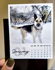 A person is holding a small calendar featuring a photo of a dog in the snow.