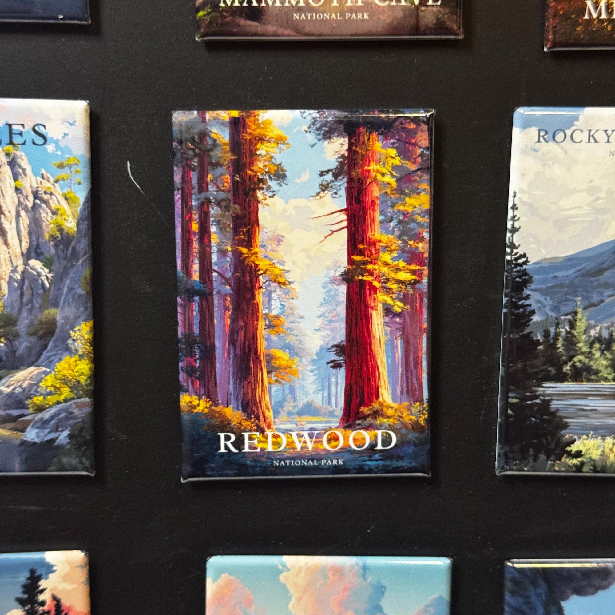 a collection of landscape magnets, with one prominently displaying a painting of a redwood forest.