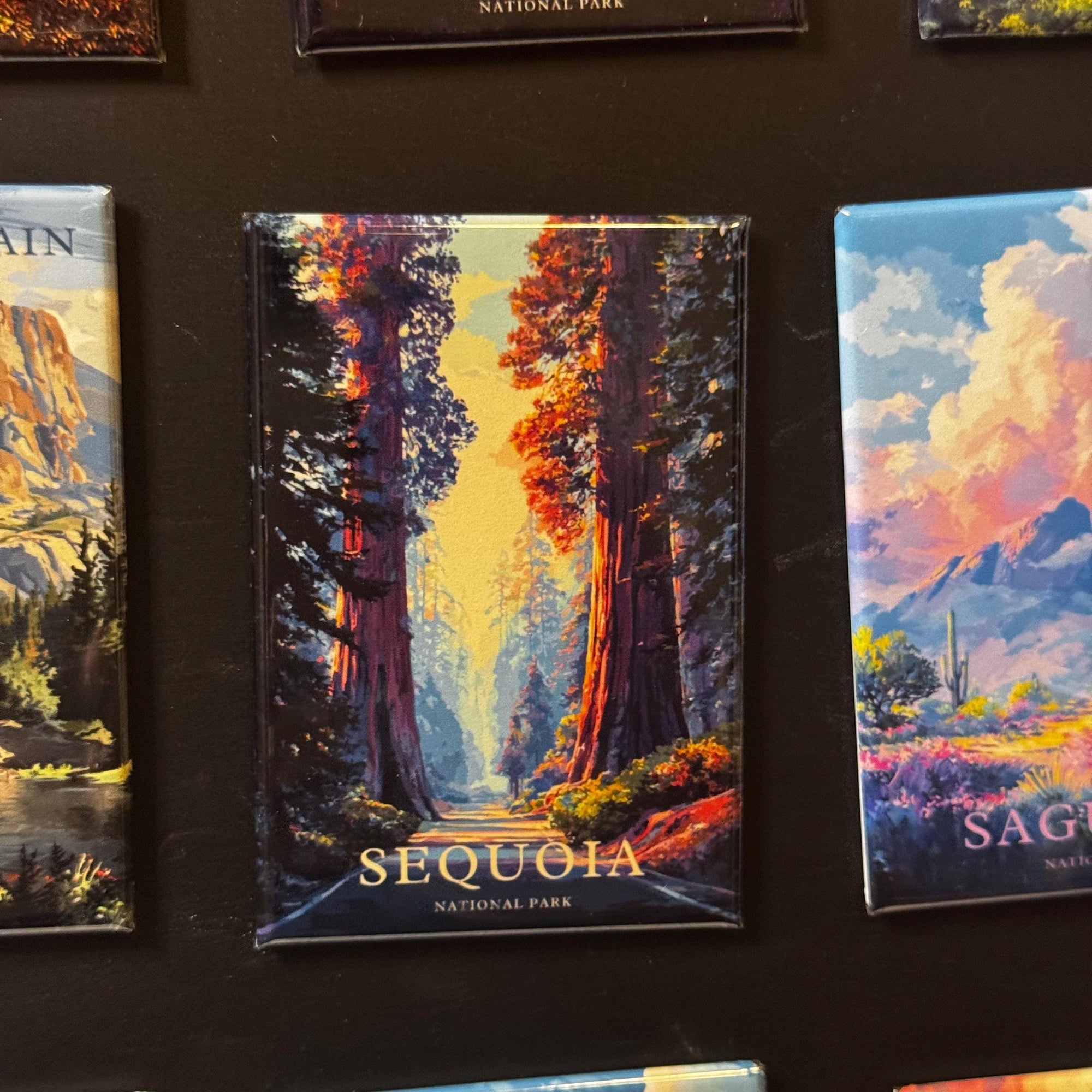 a collection of nature-themed magnets, including a magnet depicting a scenic view of sequoia trees in a forest.