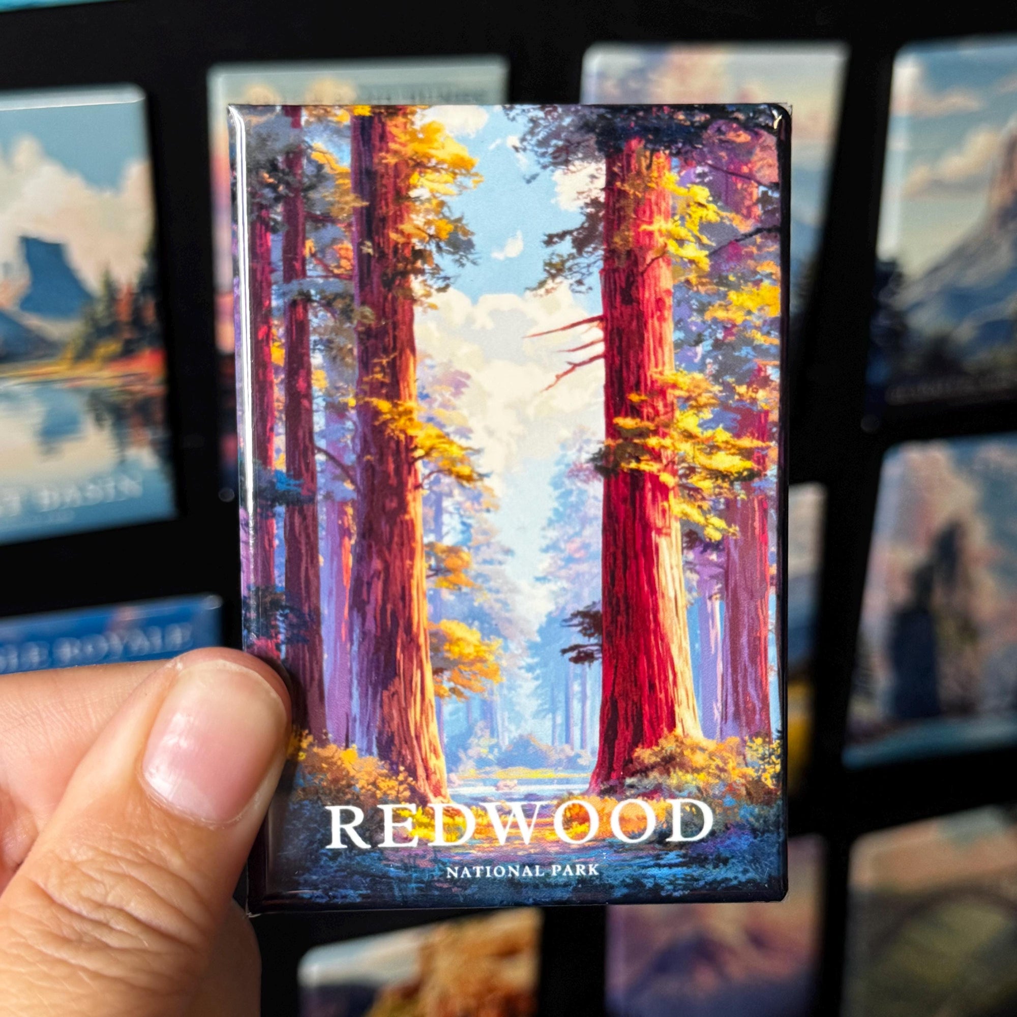 A hand holding a magnet with a colorful image of a forest, specifically Redwood National Park, with the text "REDWOOD NATIONAL PARK" visible.