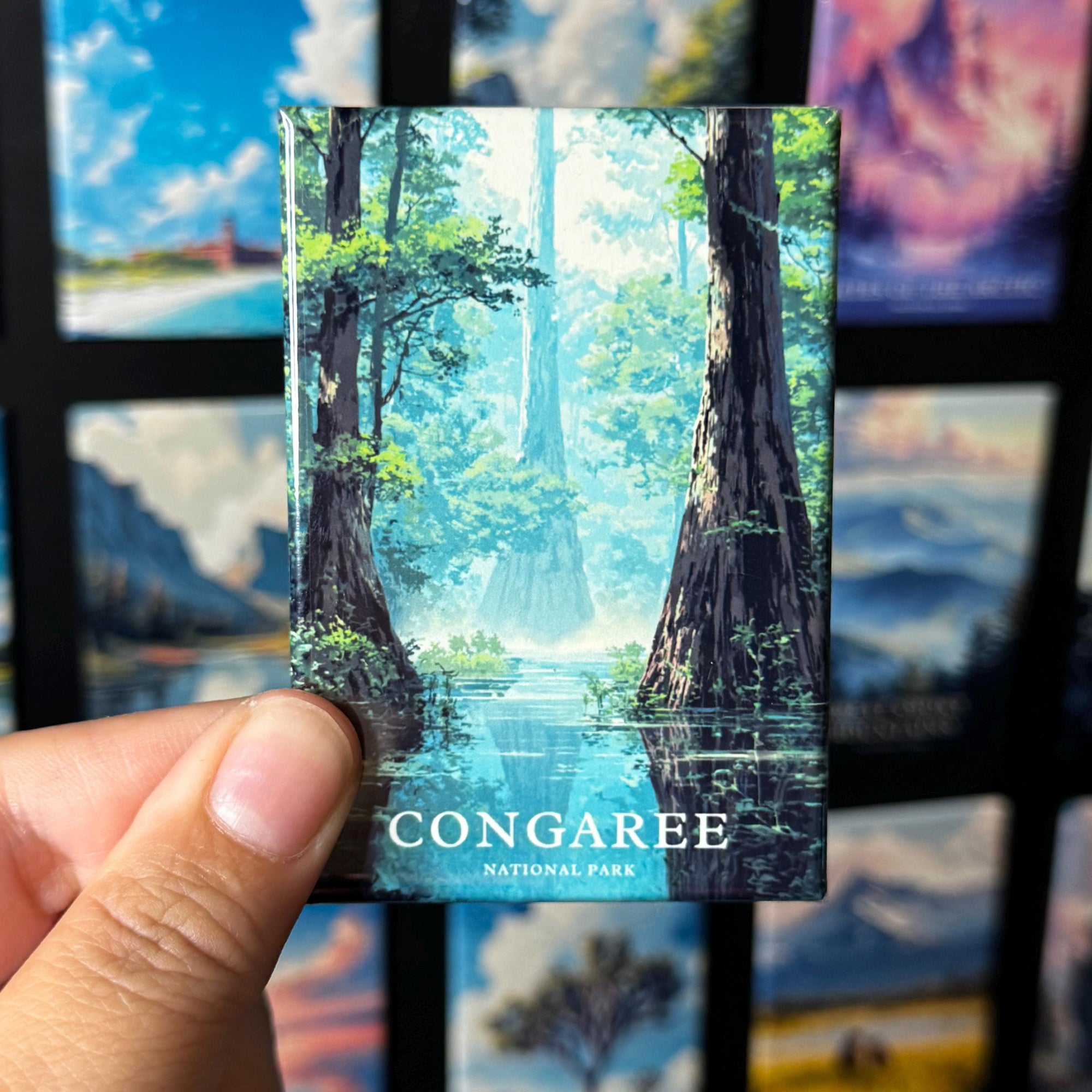 A hand is holding a magnet with a picture of a forest scene, specifically Congaree National Park, with the text "CONGAREE NATIONAL PARK" visible.