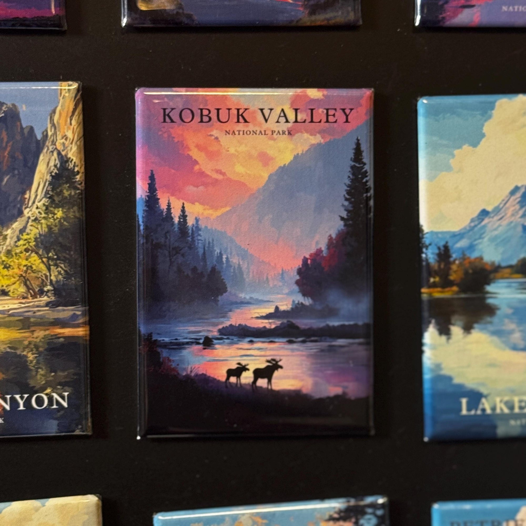 a collection of landscape magnets, including a magnet depicting the Kobuk Valley National Park in the United States.