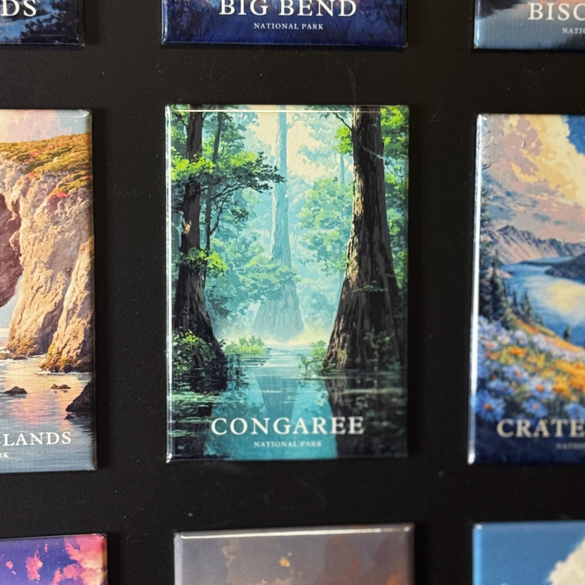 a collage of various landscape photographs, including a large image of a forest and a smaller image of a mountain range. The collage is set against a black background, and the text "CONGAREE NATIONAL PARK" is visible, indicating that the images are likely from the Congaree National Park.