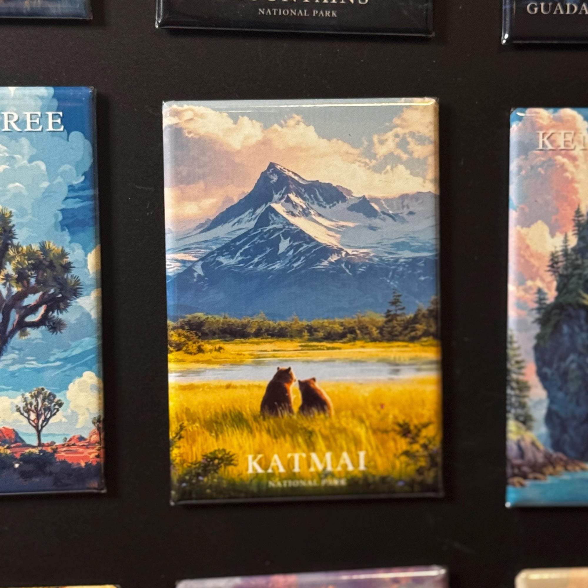 a collage of various landscape scenes, including a mountain range, a river, and a field with two bears. The collage is framed by a black border, and the text "KATMAI NATIONAL PARK" is visible, indicating the theme or subject of the images.