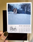 A person is holding a small calendar featuring a photo of a dog in the snow.