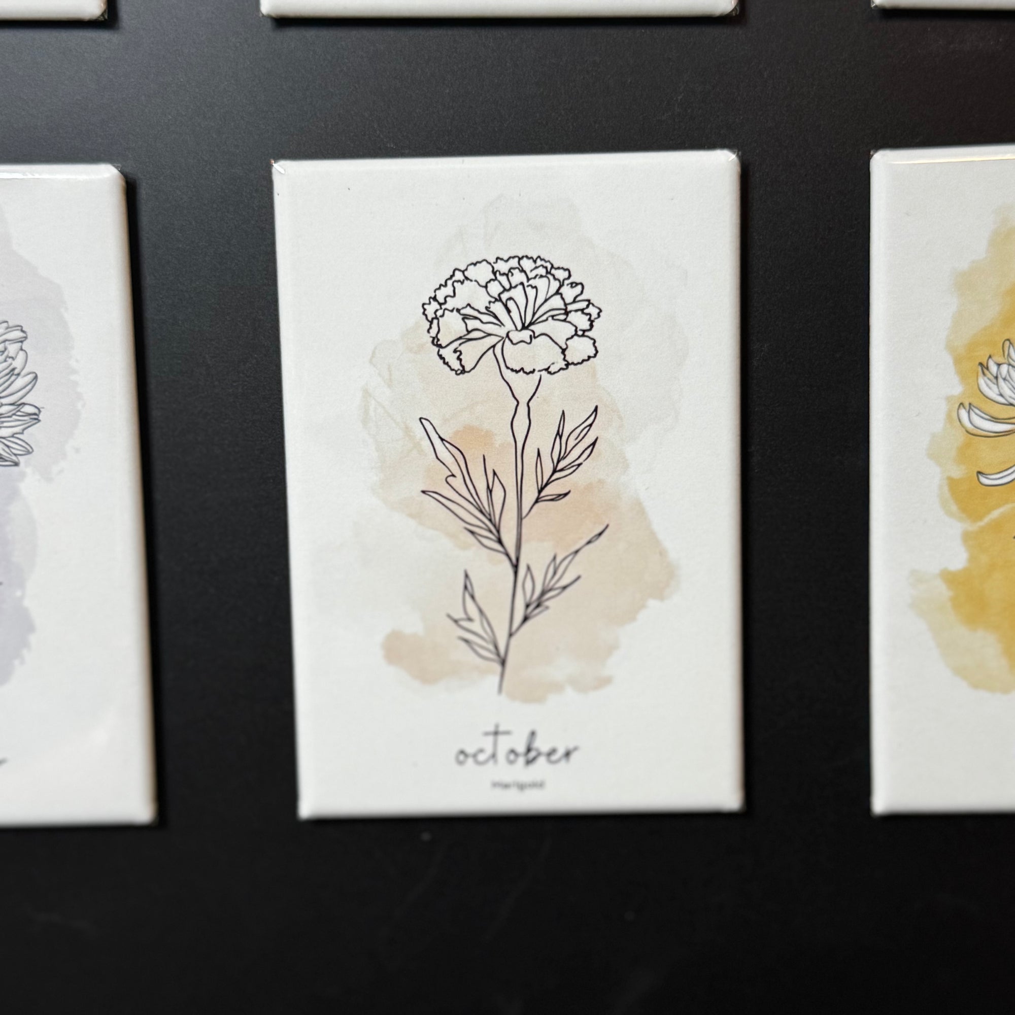 12 Month Birth Flower Magnets