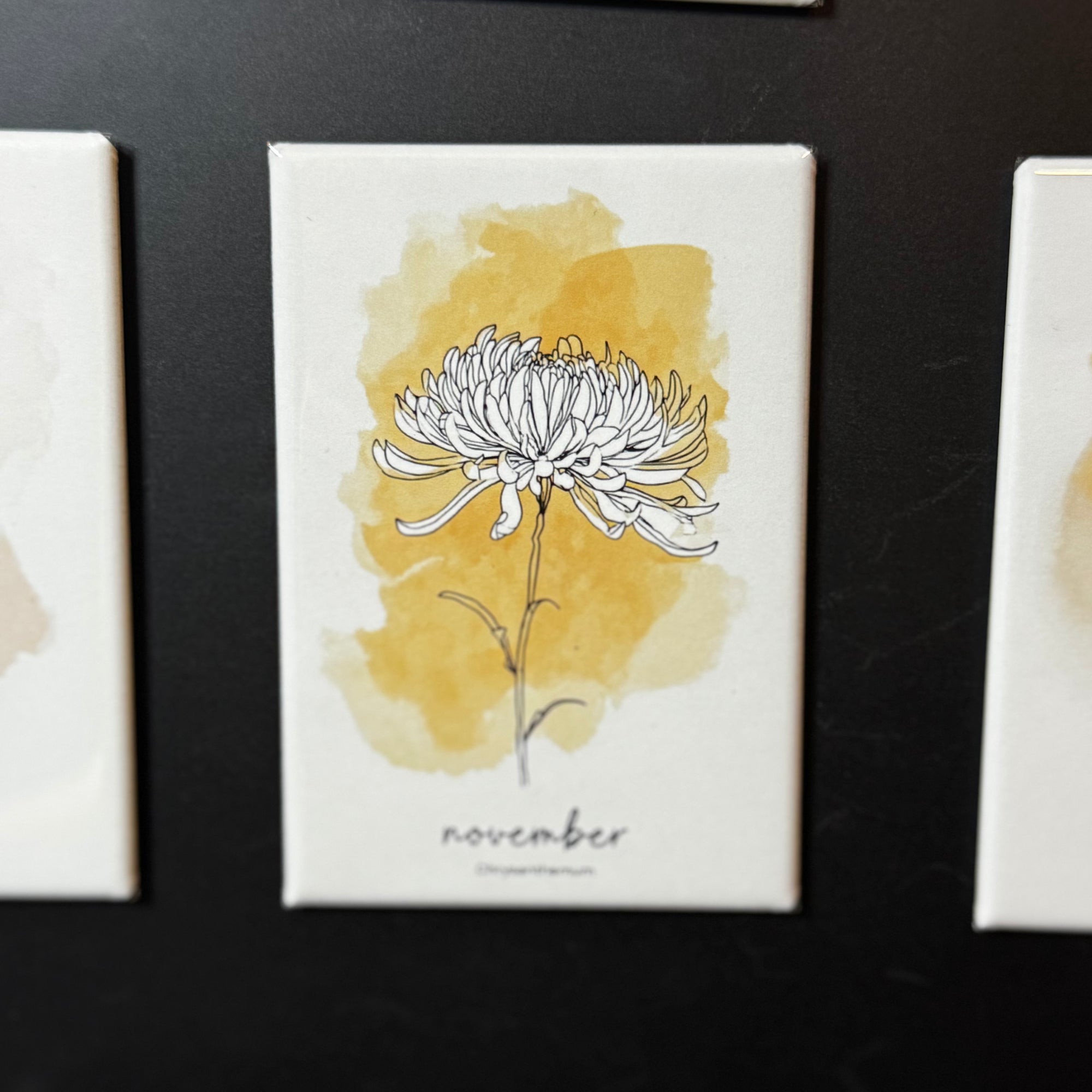 12 Month Birth Flower Magnets
