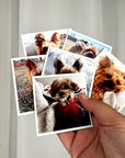 Custom Photo Magnets