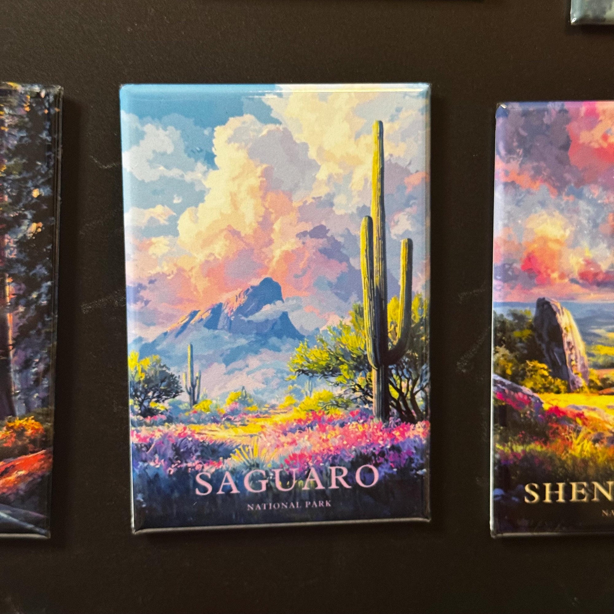 a collage of three landscape magnets depicting various scenes, including a desert landscape with cacti and mountains, a colorful sunset, and a field of flowers.