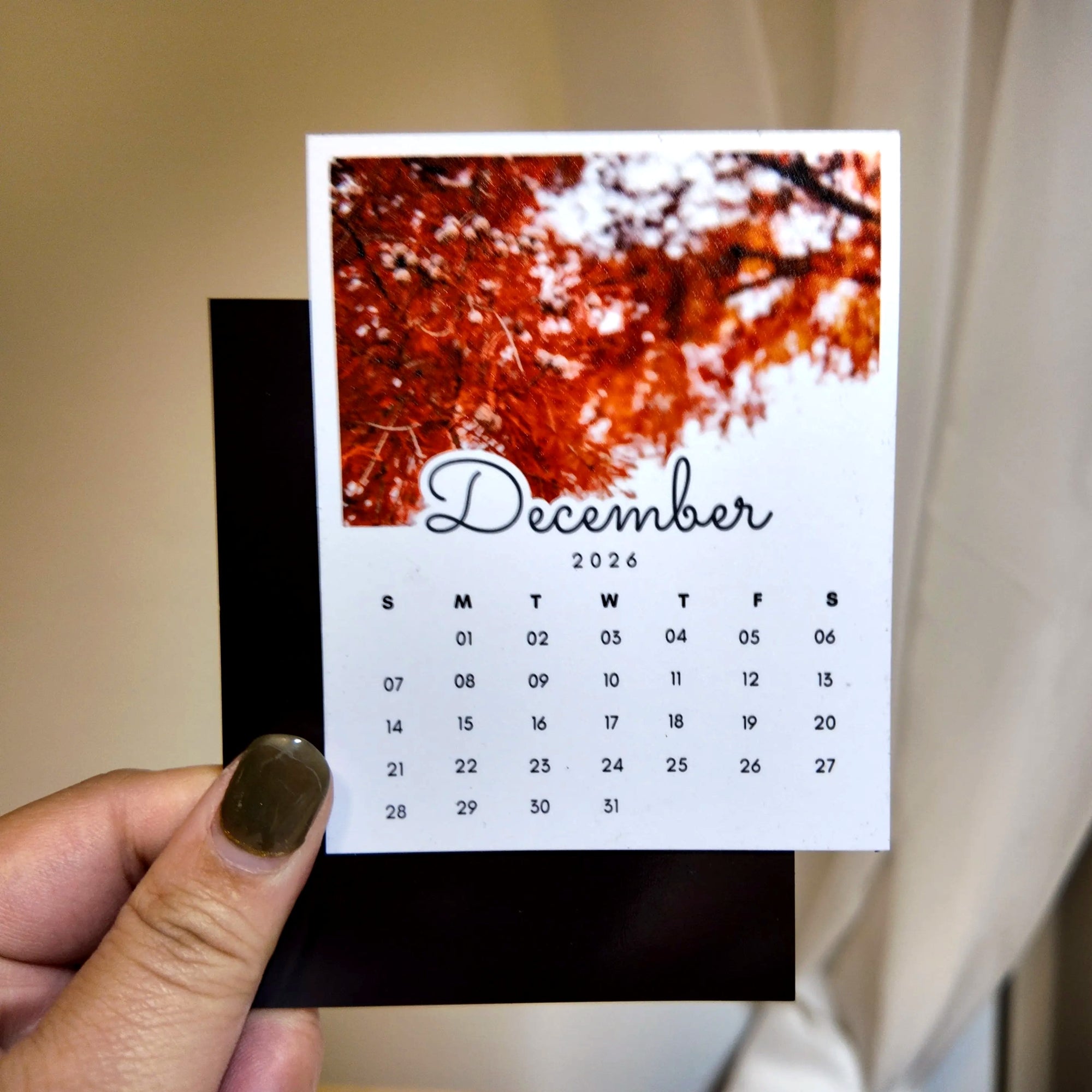 A person's hand holding a small calendar card with a photo of a tree on the cover.
