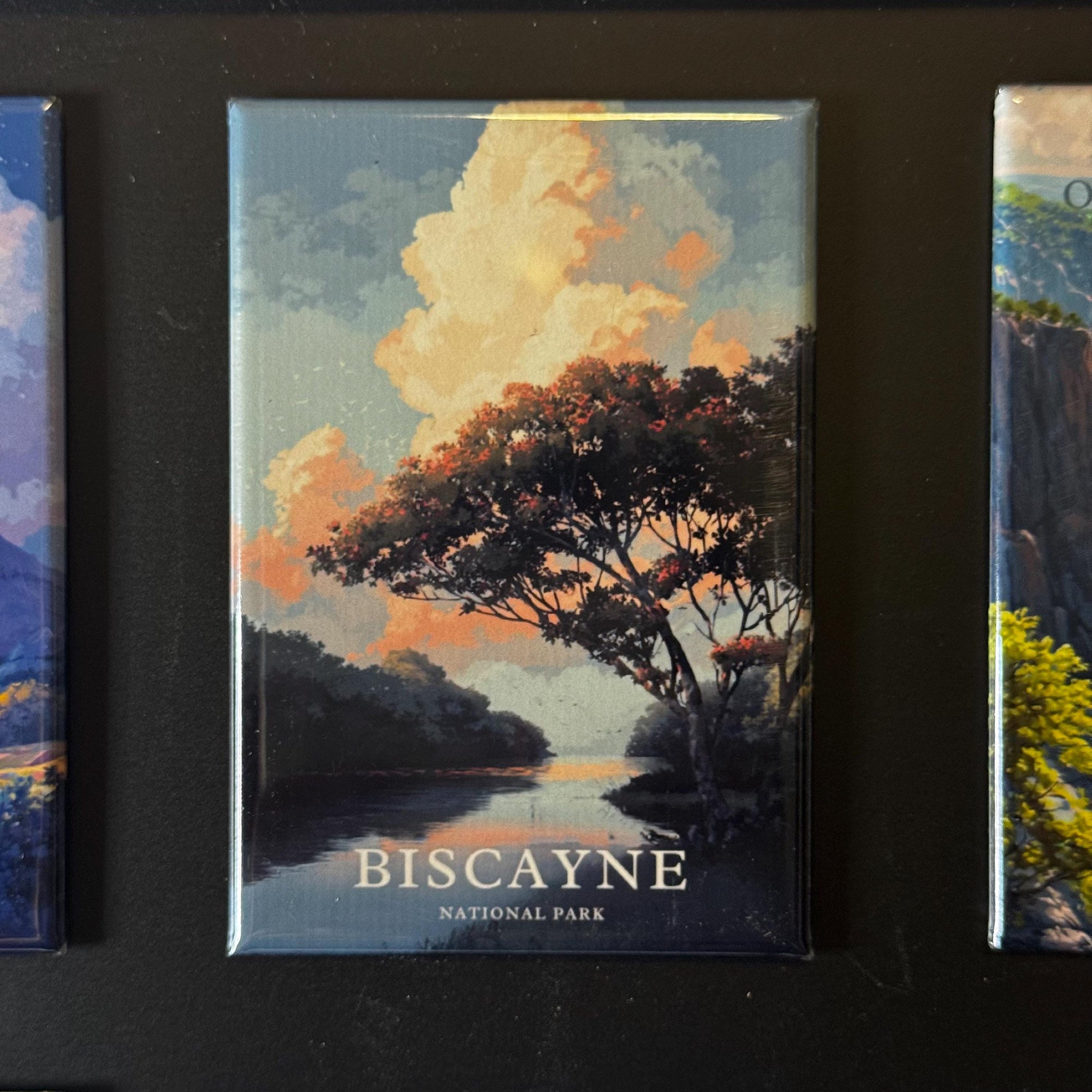 The image is a framed magnet depicting a scenic landscape with a tree and a body of water, likely representing Biscayne National Park.