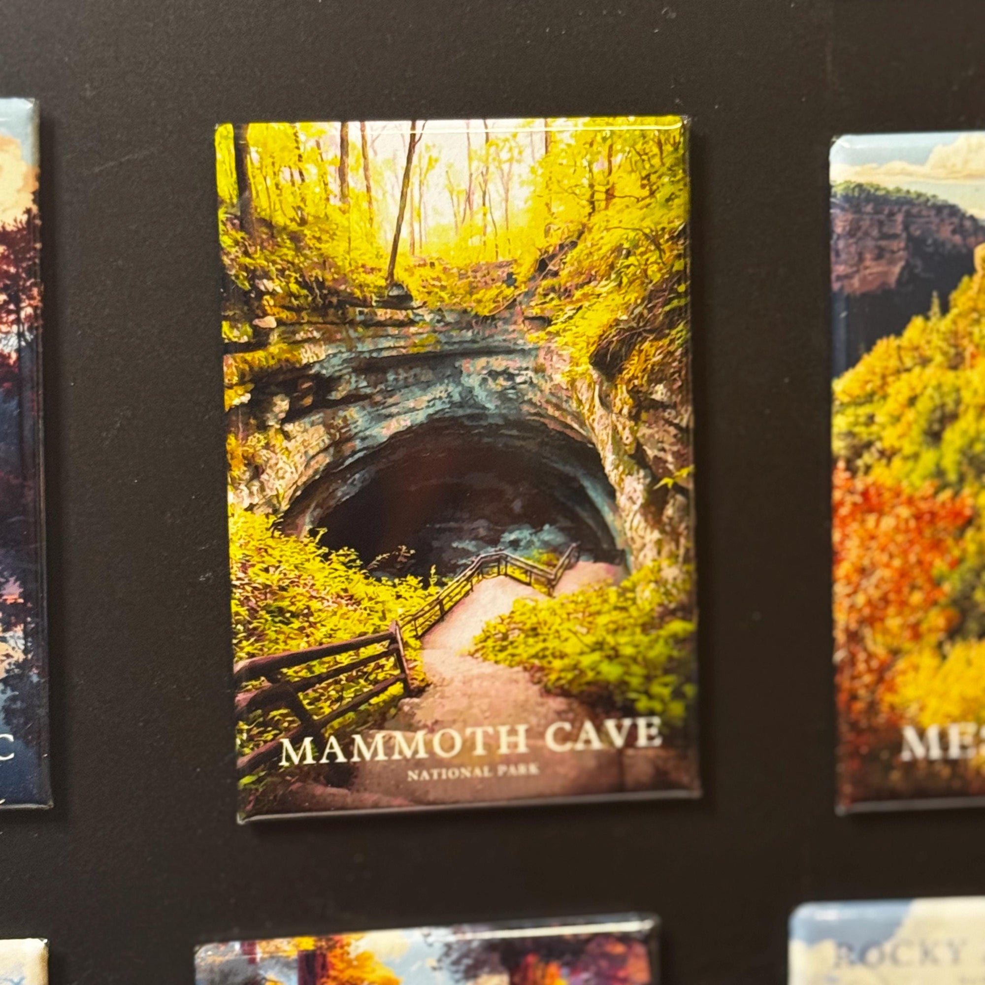The image is a magnet depicting the Mammoth Cave National Park, featuring a scenic view of the cave entrance surrounded by lush vegetation.