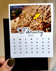 A person's hand holding a calendar page with a photo of a yellow flower on the cover.
